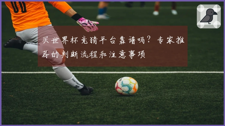 买世界杯竞猜平台靠谱吗?专家推荐的判断流程和注意事项
